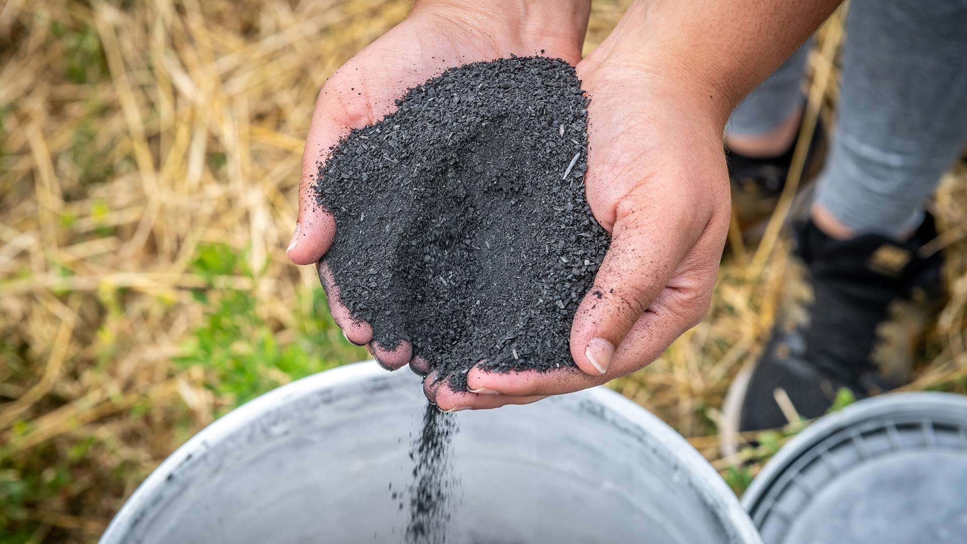 hands pouring biochar into a bucket