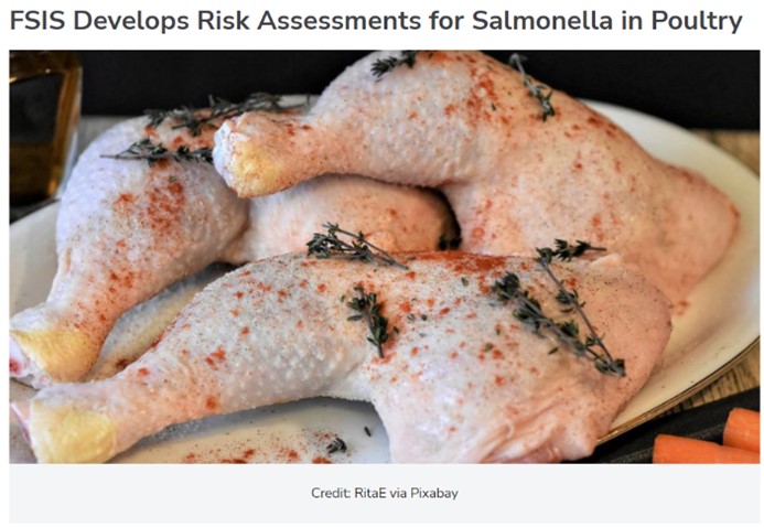 Pieces of raw poultry are dressed with paprika and herbs ready to cook. The headline reads: FSIS Develops Risk Assessments for Salmonella in Poultry. Credit: RitaE via Pixabay